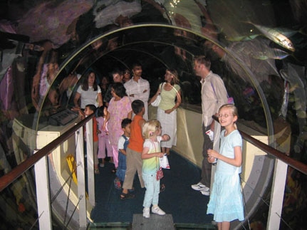 Inside the underwater tunnel